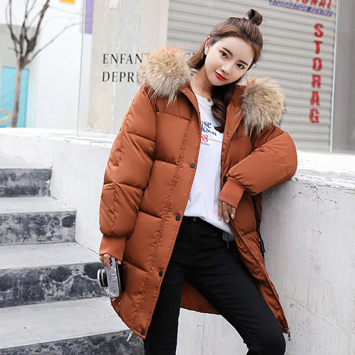 Winter jacket women 2019 new hooded women down coat fur collar zippers long women jacket female warm winter women down jacket